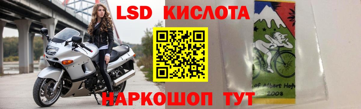 A PVP Дмитров