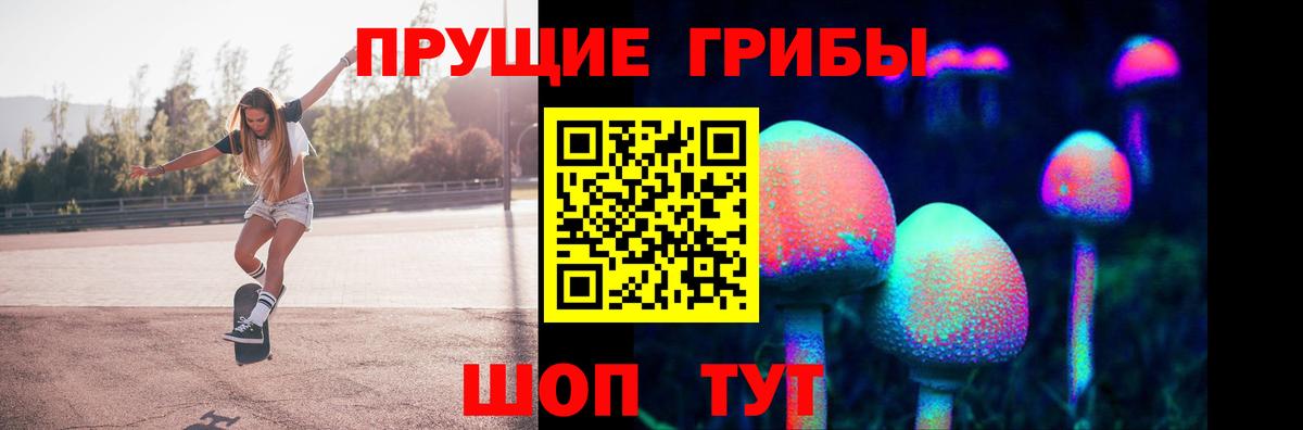 как найти   Псилоцибиновые грибы ЛСД  Вход с VPN  Дмитров 